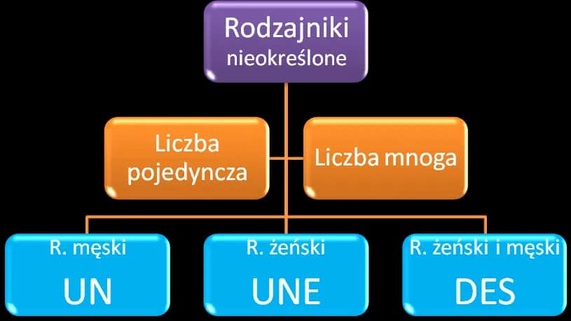 Francuskie rodzajniki nieokreślone: Uniknij błędów Polaków!