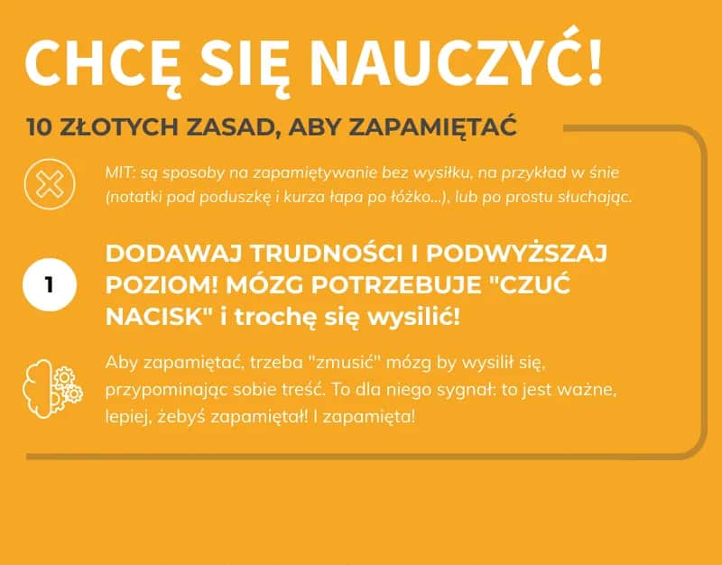 Jak efektywnie się uczyć? Ekspert radzi: zapomnij o kuciu!