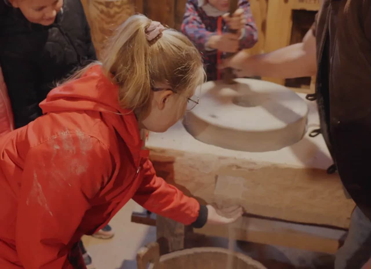 Zagroda edukacyjna: Jak założyć? Kompletny przewodnik i dotacje